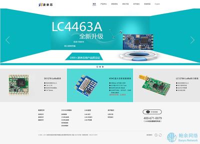 凌承芯-深圳企業(yè)網(wǎng)站建設(shè)案例