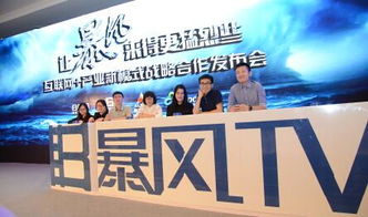 暴風TV產(chǎn)品收入首超廣告，付費收入同比增長484%